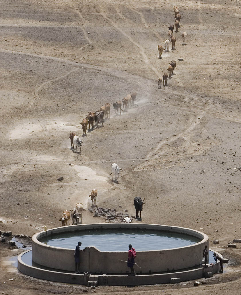 ©FAO/Giulio Napolitano