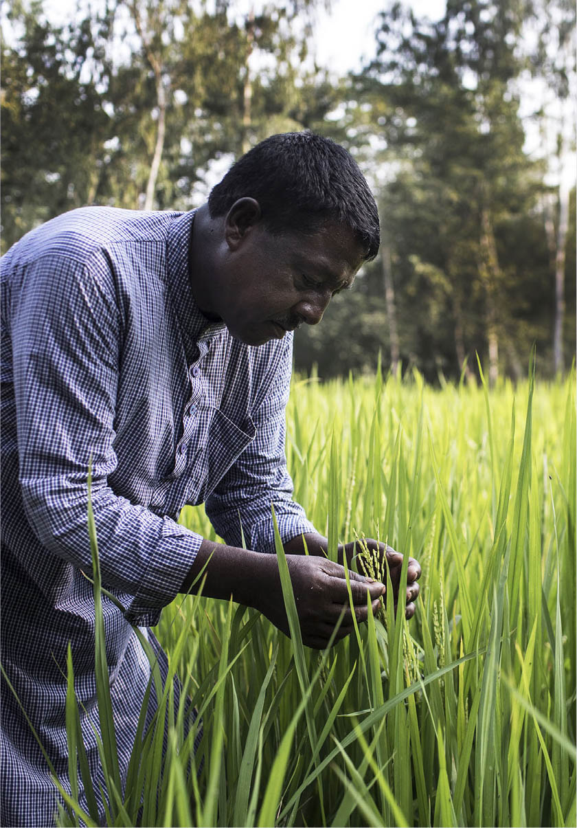 ©FAO/Mohammad Rakibul Hasan