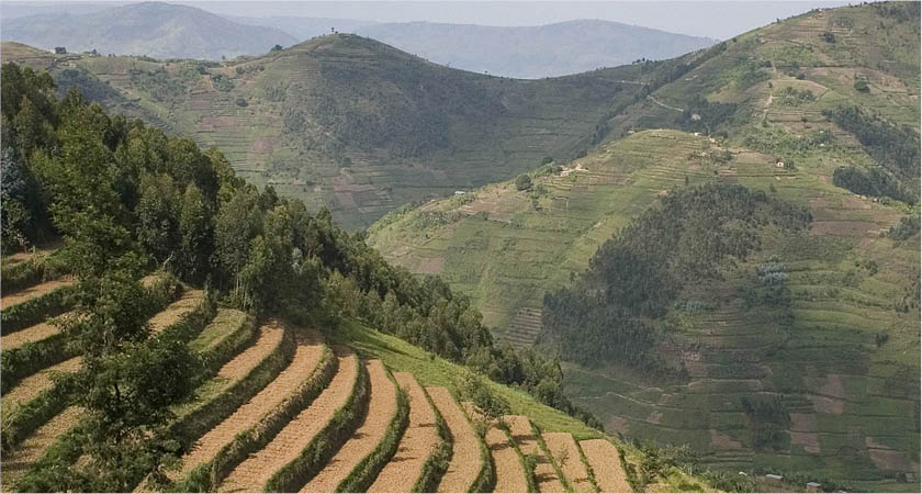 ©FAO/Giulio Napolitano