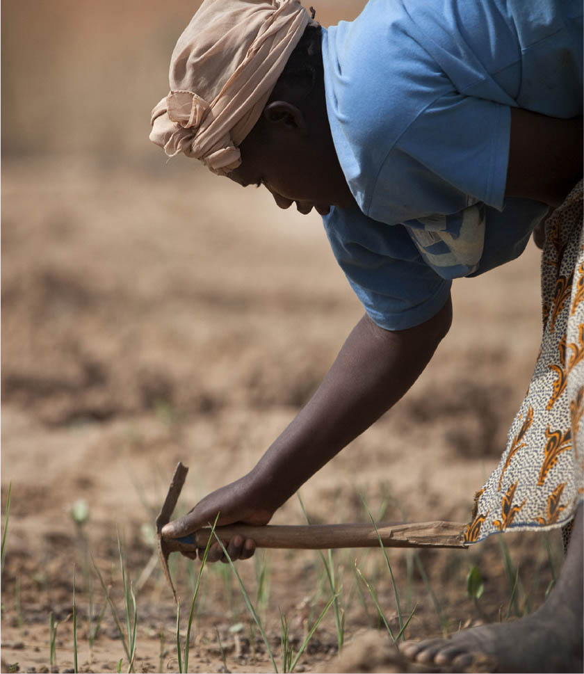 ©FAO/Giulio Napolitano