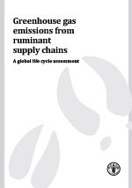 Greenhouse gas emissions from ruminant supply chains – A global life cycle assessment