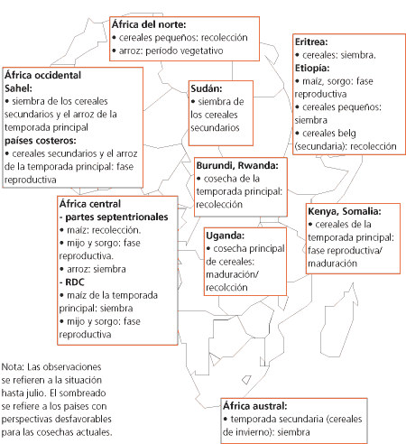 Perspectivas de Cosechas y Situacin Alimentaria