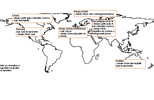 Perspectives de rcoltes et situation alimentaire 