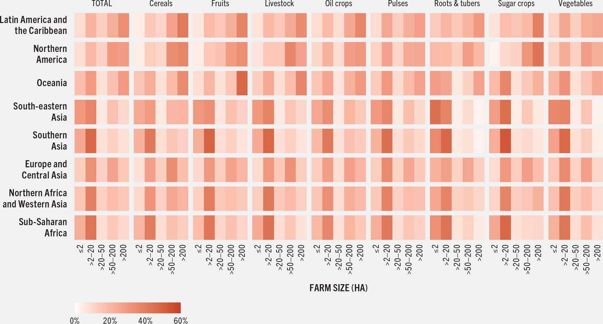 Heatmap showing the contribution of farm size categories to food consumption across regions and food groups: farms between 2 and 20 hectares contribute over 35 percent of food consumption in sub-Saharan Africa, Northern Africa and Western Asia, and South-eastern Asia. Farms over 200 hectares contribute most in Oceania (29 percent), Latin America (29 percent) and the Caribbean (34 percent). 