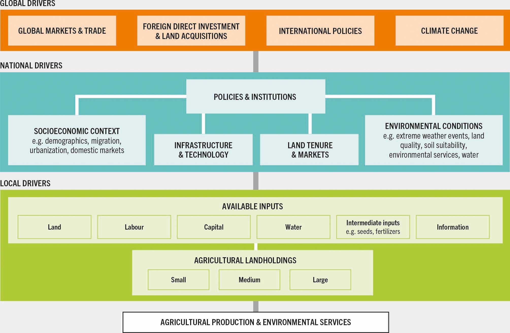 Flow diagram of drivers of agricultural land use and management: global drivers include global markets and trade, foreign direct investment and land acquisitions, policies and climate change; national drivers include policies and institutions, which are connected to the socioeconomic context, infrastructure and technology, land tenure and markets, and environmental conditions; local drivers include available inputs (land, labour, capital, water, intermediate inputs and information), interacting with agricultural holdings of small, medium and large size. All these together influence agricultural production and environmental services.