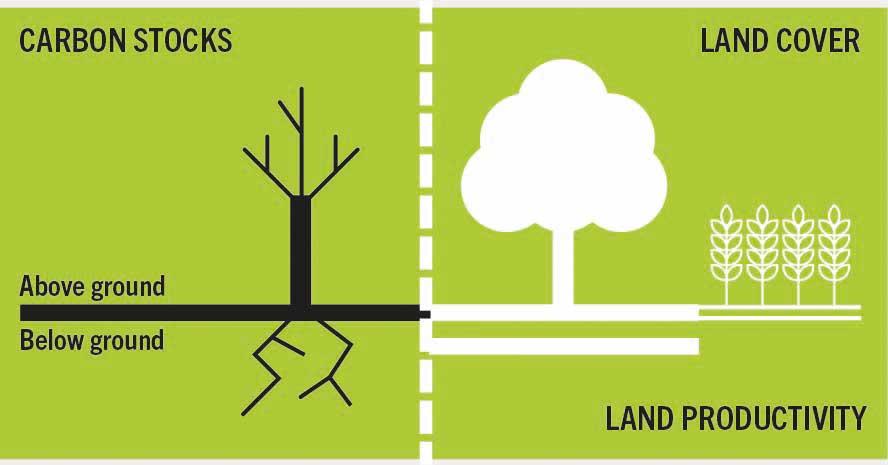 Illustration of key indicators for SDG 15.3 to track land degradation targets: carbon stocks above and below ground, land cover and land productivity.