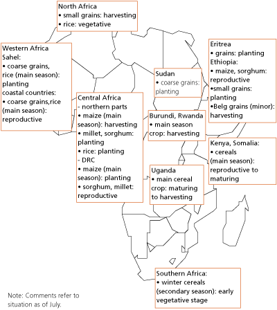 Crop Prospects and Food Situation