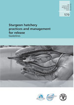 Sturgeon hatchery practices and management for release. Guidelines