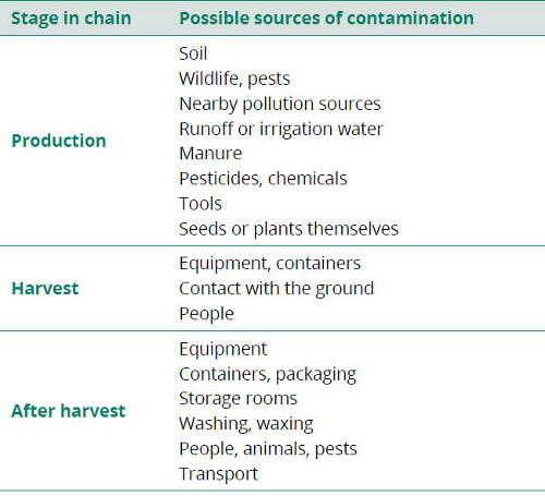 Source: FAO (2004)