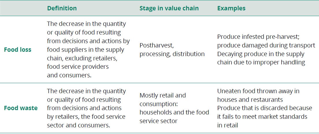 Source: FAO (2019)