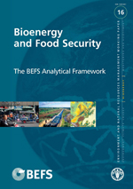 Bioenergy and Food Security