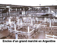 Enclos dun grand march en Argentine