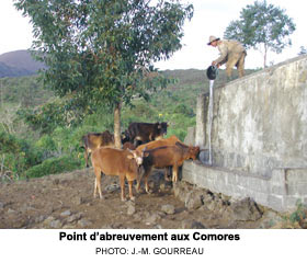 Point dabreuvement aux Comores