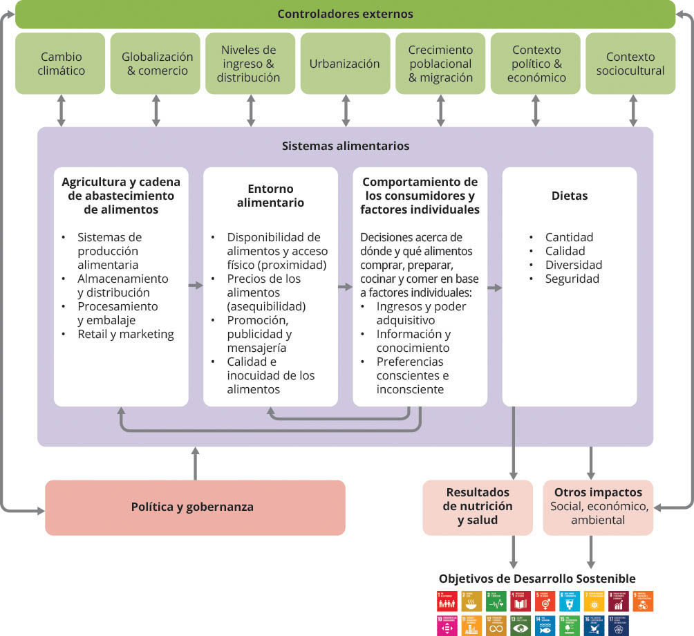 Adaptado de HLPE (2017), FAO (2020)