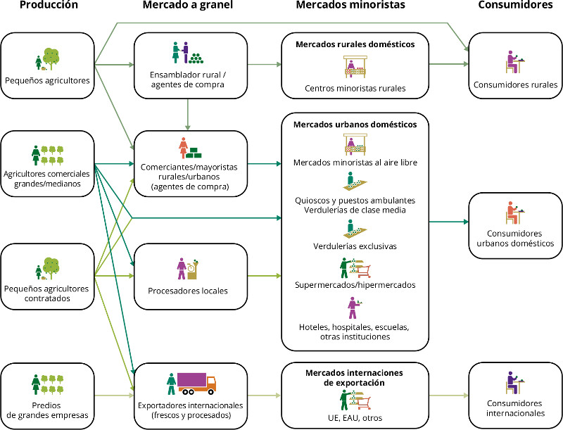 Fuente: Dijkxhoorn et. al., (2019)