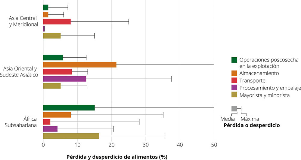 Adaptado de FAO (2019) p. 26. Basado en 660 observaciones. Excluye los valores atípicos.