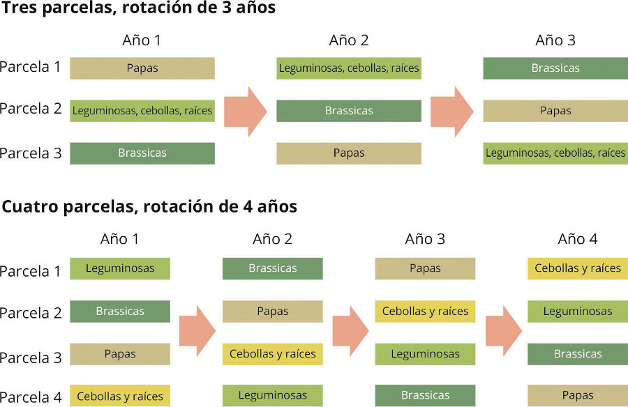 Adaptado de RHS (2020)