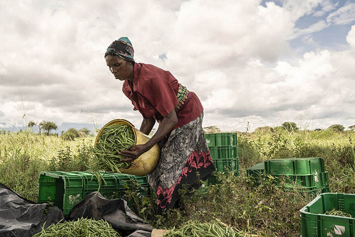 © FAO/Fredrik Lerneryd