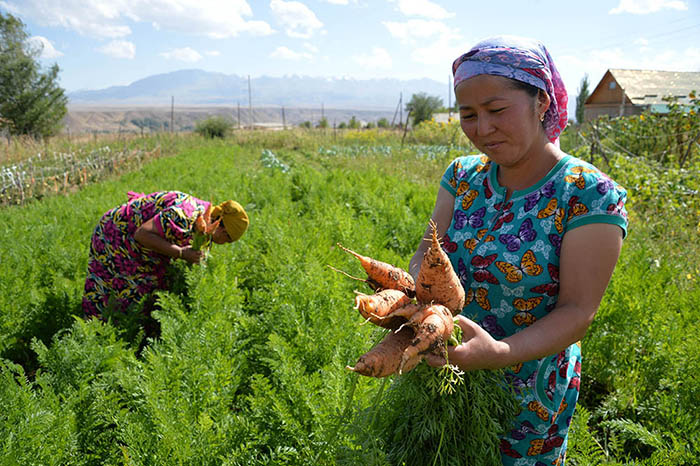 © FAO /Vyacheslav Oseledko