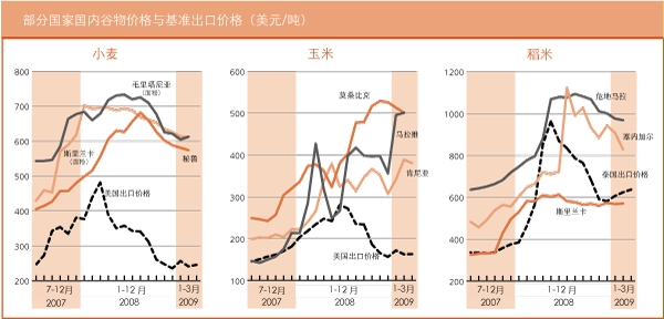 作物前景与粮食形势