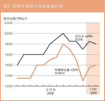 作物前景与粮食形势