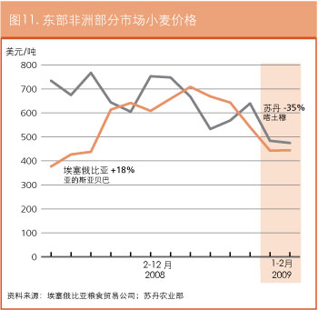 作物前景与粮食形势