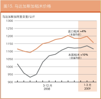 作物前景与粮食形势