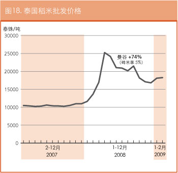 作物前景与粮食形势