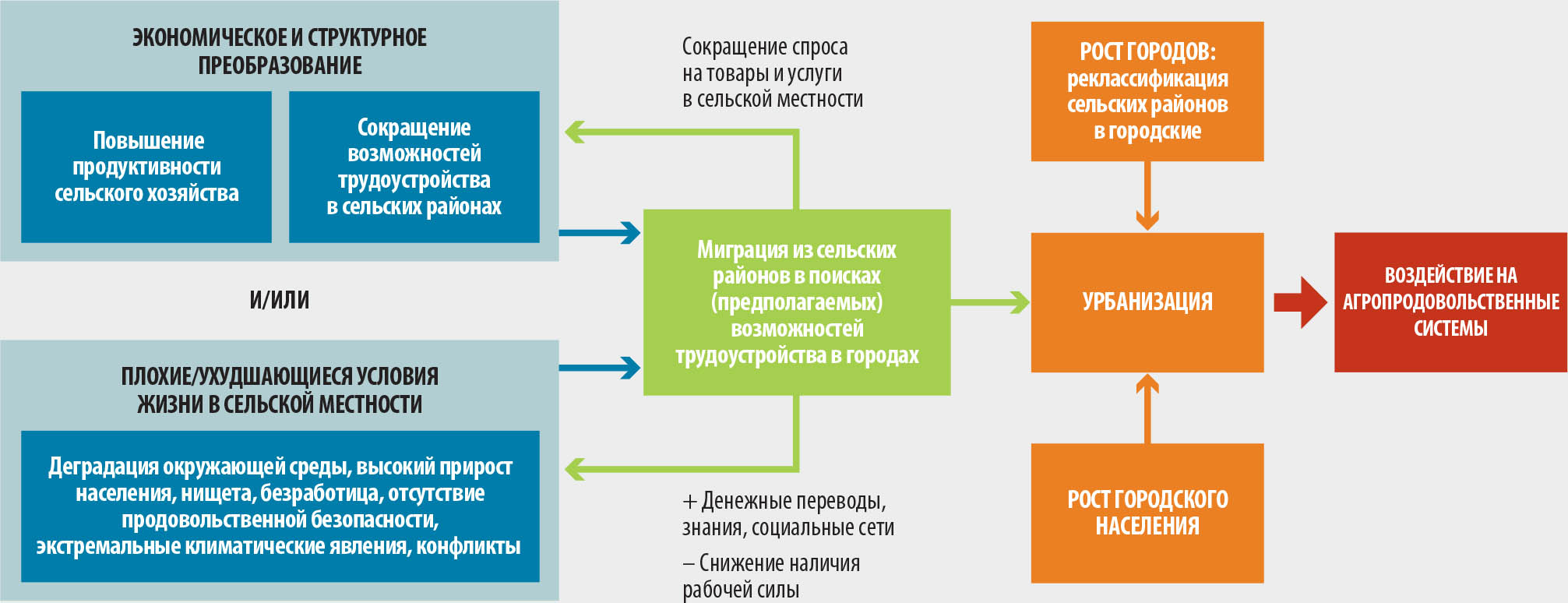 ИСТОЧНИК: de Bruin, S. & Holleman, C. 2023. Urbanization is transforming agrifood systems across the rural-urban continuum creating challenges and opportunities to access affordable healthy diets. Background paper for The State of Food Security and Nutrition in the World 2023. FAO Agricultural Development Economics Working Paper 23-08. Rome, FAO.