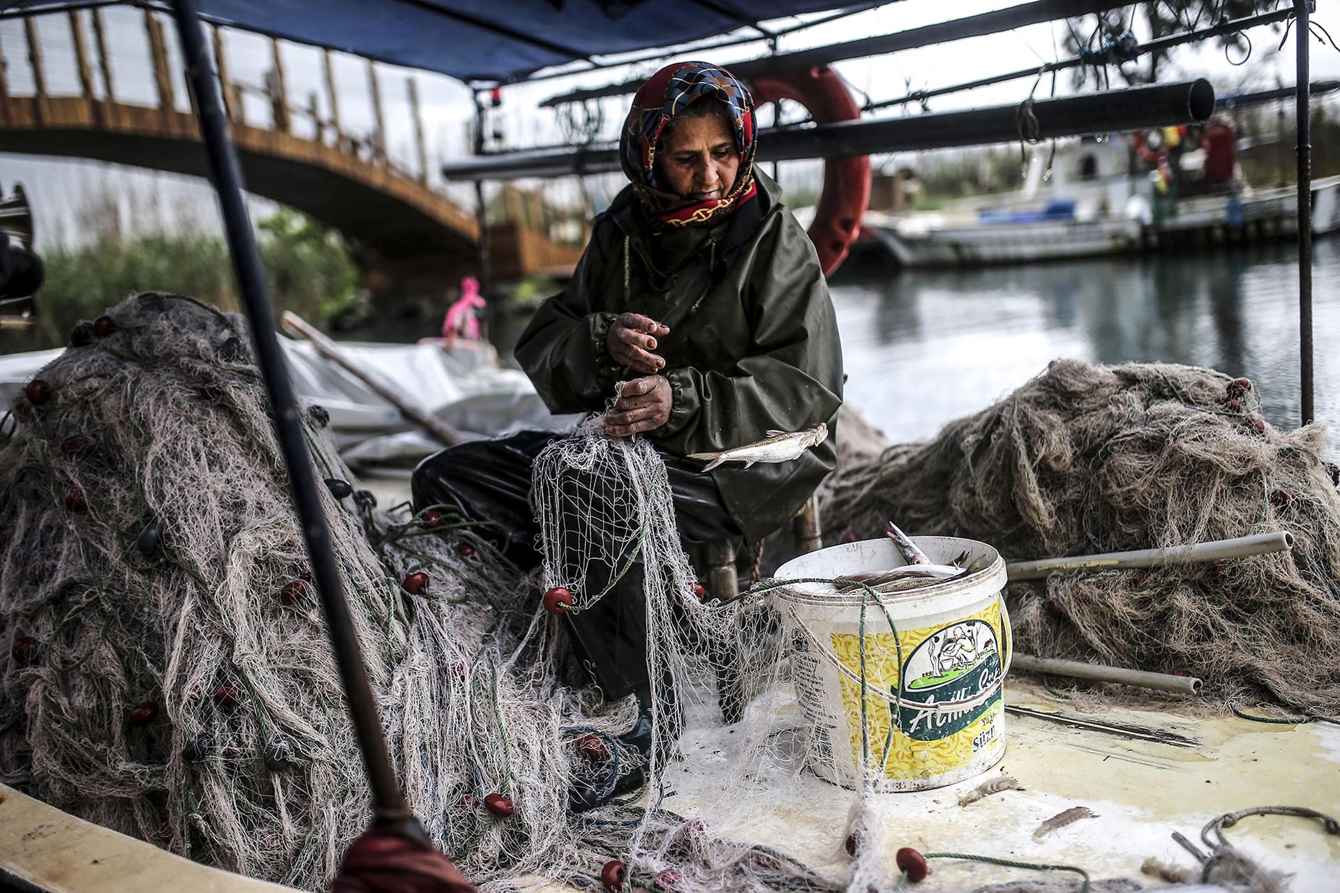 EGYPT A young labourer loading tomatoes onto wholesalers’ trucks.