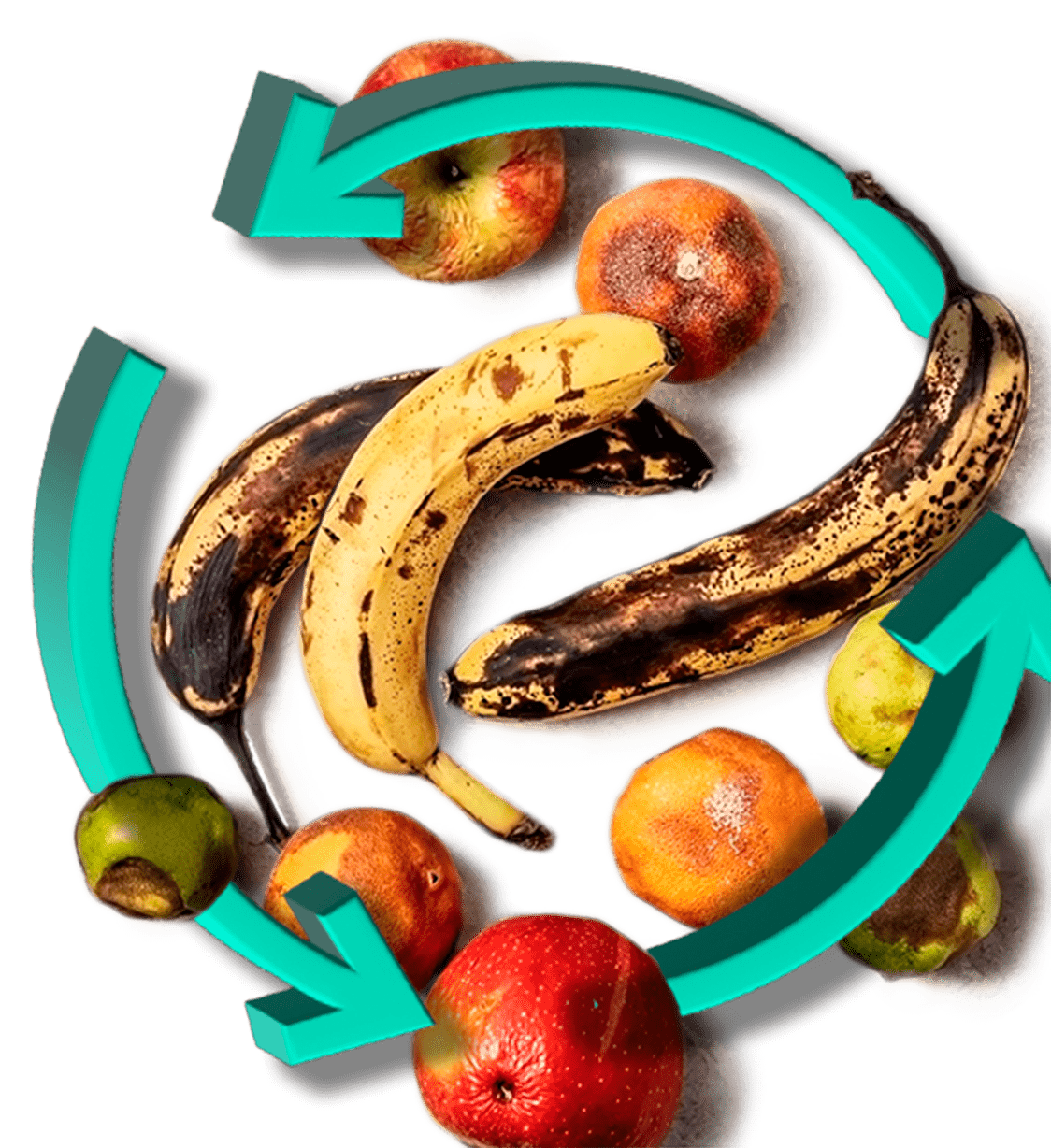 Urban food waste management and circular economy cover