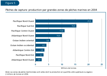 EL ESTADO MUNDIAL DE LA PESCA Y LA ACUICULTURA 2006
