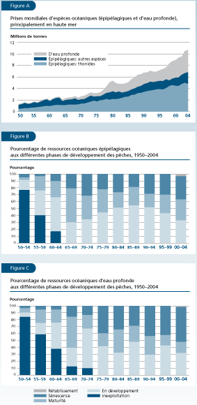 EL ESTADO MUNDIAL DE LA PESCA Y LA ACUICULTURA 2006
