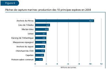EL ESTADO MUNDIAL DE LA PESCA Y LA ACUICULTURA 2006
