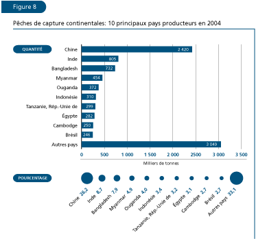 EL ESTADO MUNDIAL DE LA PESCA Y LA ACUICULTURA 2006
