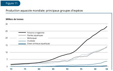 EL ESTADO MUNDIAL DE LA PESCA Y LA ACUICULTURA 2006
