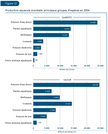 EL ESTADO MUNDIAL DE LA PESCA Y LA ACUICULTURA 2006
