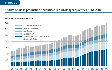 EL ESTADO MUNDIAL DE LA PESCA Y LA ACUICULTURA 2006
