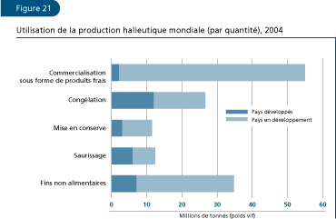 EL ESTADO MUNDIAL DE LA PESCA Y LA ACUICULTURA 2006
