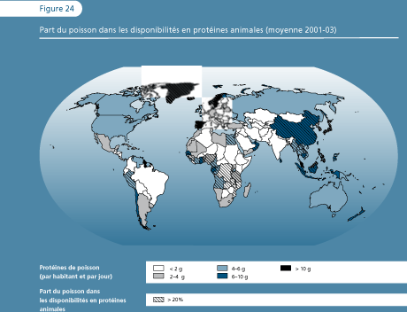 EL ESTADO MUNDIAL DE LA PESCA Y LA ACUICULTURA 2006
