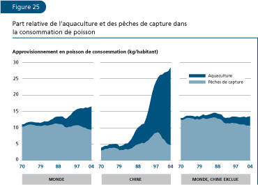 EL ESTADO MUNDIAL DE LA PESCA Y LA ACUICULTURA 2006
