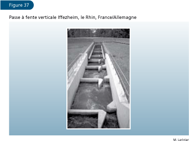 EL ESTADO MUNDIAL DE LA PESCA Y LA ACUICULTURA 2006
