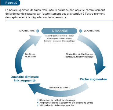 EL ESTADO MUNDIAL DE LA PESCA Y LA ACUICULTURA 2006
