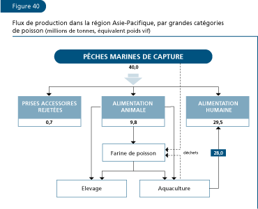 EL ESTADO MUNDIAL DE LA PESCA Y LA ACUICULTURA 2006
