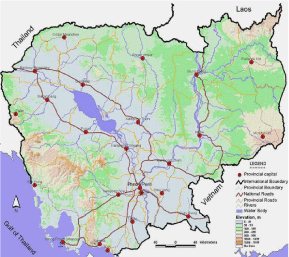 DEVELOPING AN ASIA-PACIFIC STRATEGY
FOR FOREST INVASIVE SPECIES:
THE COCONUT BEETLE PROBLEM 
BRIDGING AGRICULTURE AND FORESTRY