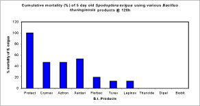 DEVELOPING AN ASIA-PACIFIC STRATEGY FOR FOREST INVASIVE SPECIES: THE COCONUT BEETLE PROBLEM-BRIDGING AGRICULTURE AND FORESTRYDEVELOPING AN ASIA-PACIFIC STRATEGY FOR FOREST INVASIVE SPECIES: THE COCONUT BEETLE PROBLEM-BRIDGING AGRICULTURE AND FORESTRY
