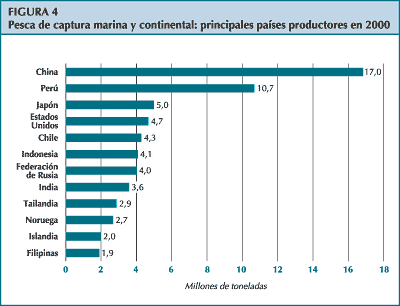 figura 4