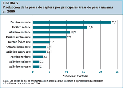 figura 5