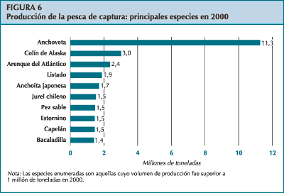 figura 6