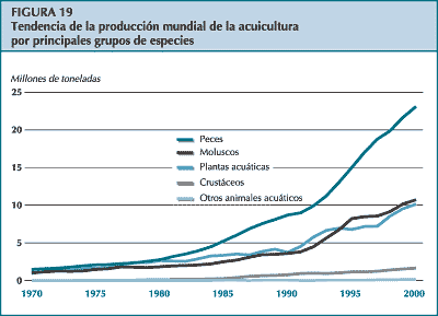 figura 19